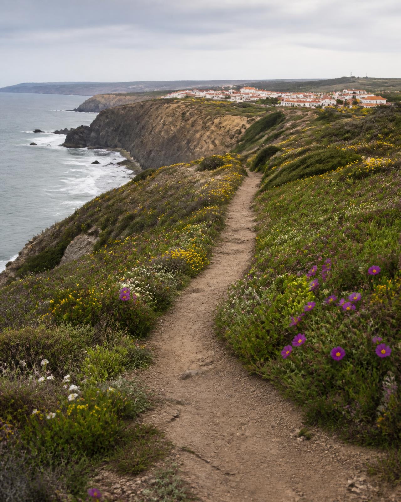 Rota Vicentina trail over the cliffs near Vila do Bispo